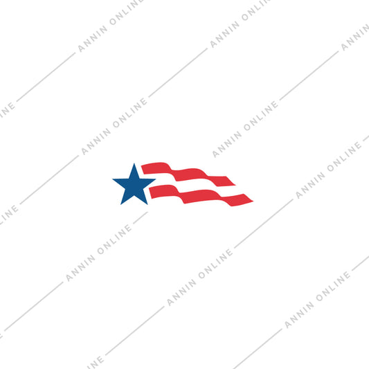 8X12" EB MTD US SPACE FORCE FLAG GOVT