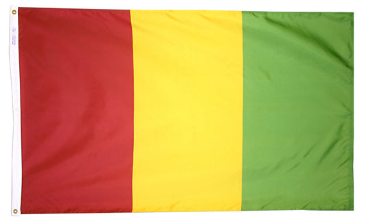 4X6 FT NYL-GLO GUINEA