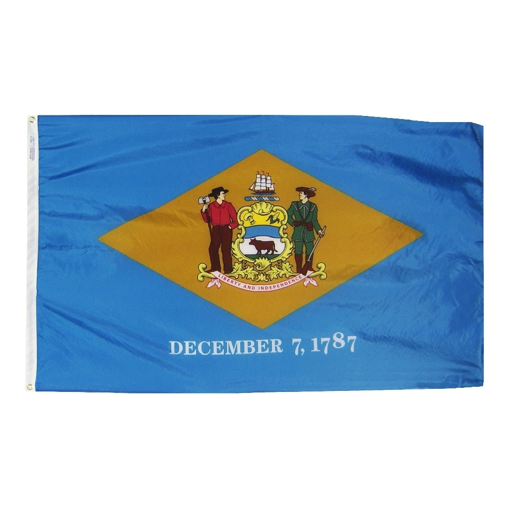 4X6 FT NYL-GLO DELAWARE