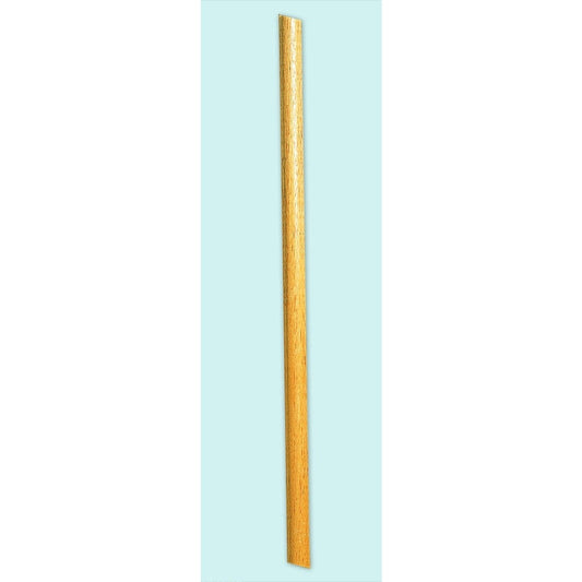 6 FT B POLE ONE EA