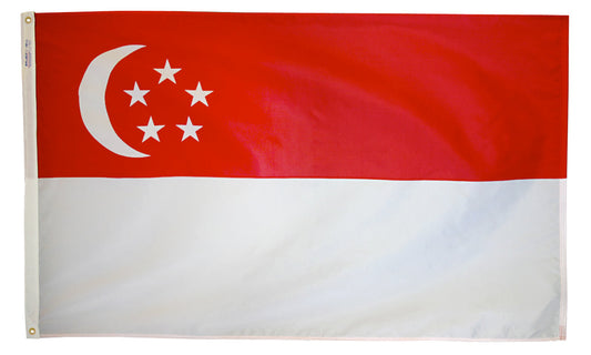 2X3 FT NYL-GLO SINGAPORE