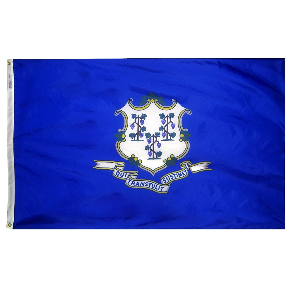 5X8 FT NYL-GLO CONNECTICUT