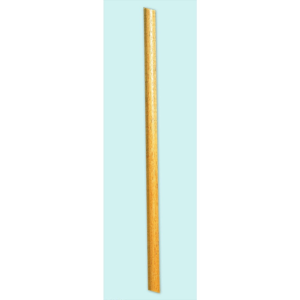 5 FT B POLE ONE EA