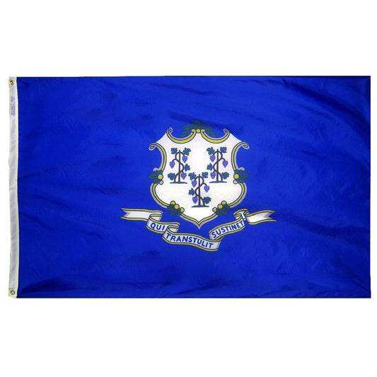 12X18 IN NYL-GLO CONNECTICUT