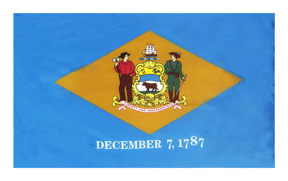 3X5 FT COL NYL-GLO DELAWARE