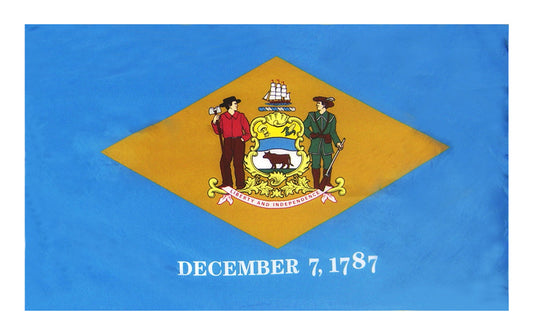 3X5 FT COL NYL-GLO DELAWARE